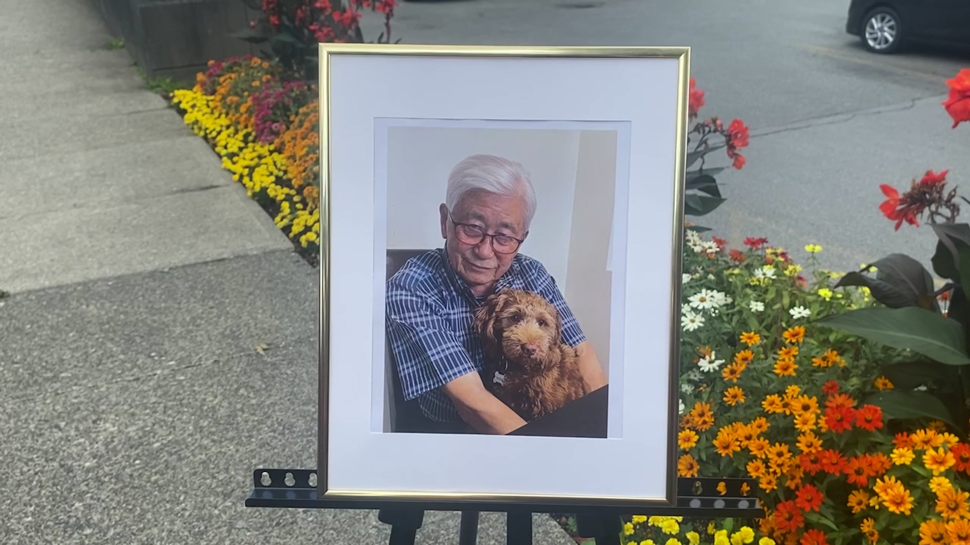 Video: Police say stray bullet killed 85-year-old man in home